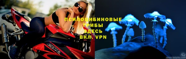 стафф Балахна
