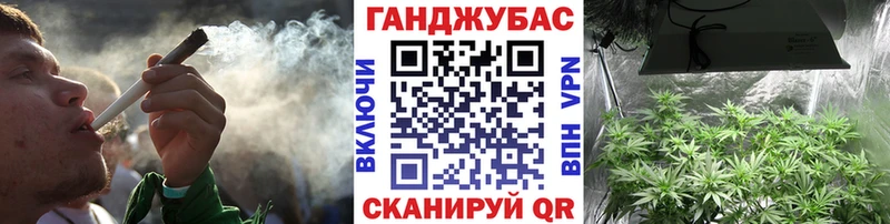 Конопля марихуана Новокубанск